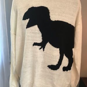 Dinosaur sweater